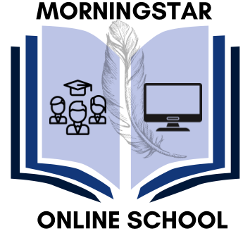 Online School